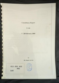 Image of Consultancy Report YSK